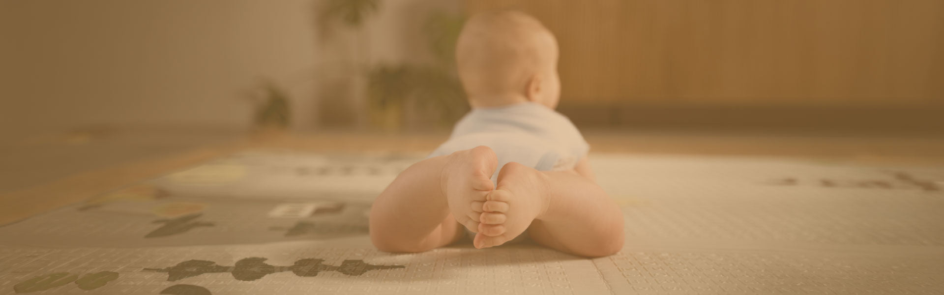 slider image 16266647175adfb89e-2